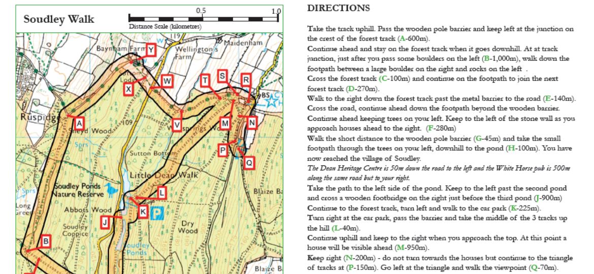 Self-Guided Walking